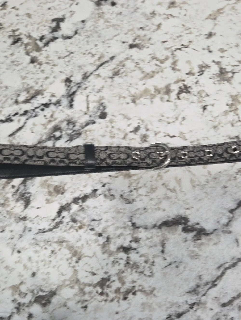 Coach Signature Monogram Canvas Belt in Black and Gray